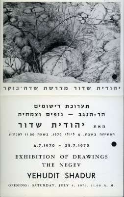 Drawings of the Negev Mountain - Fauna and Landscapes